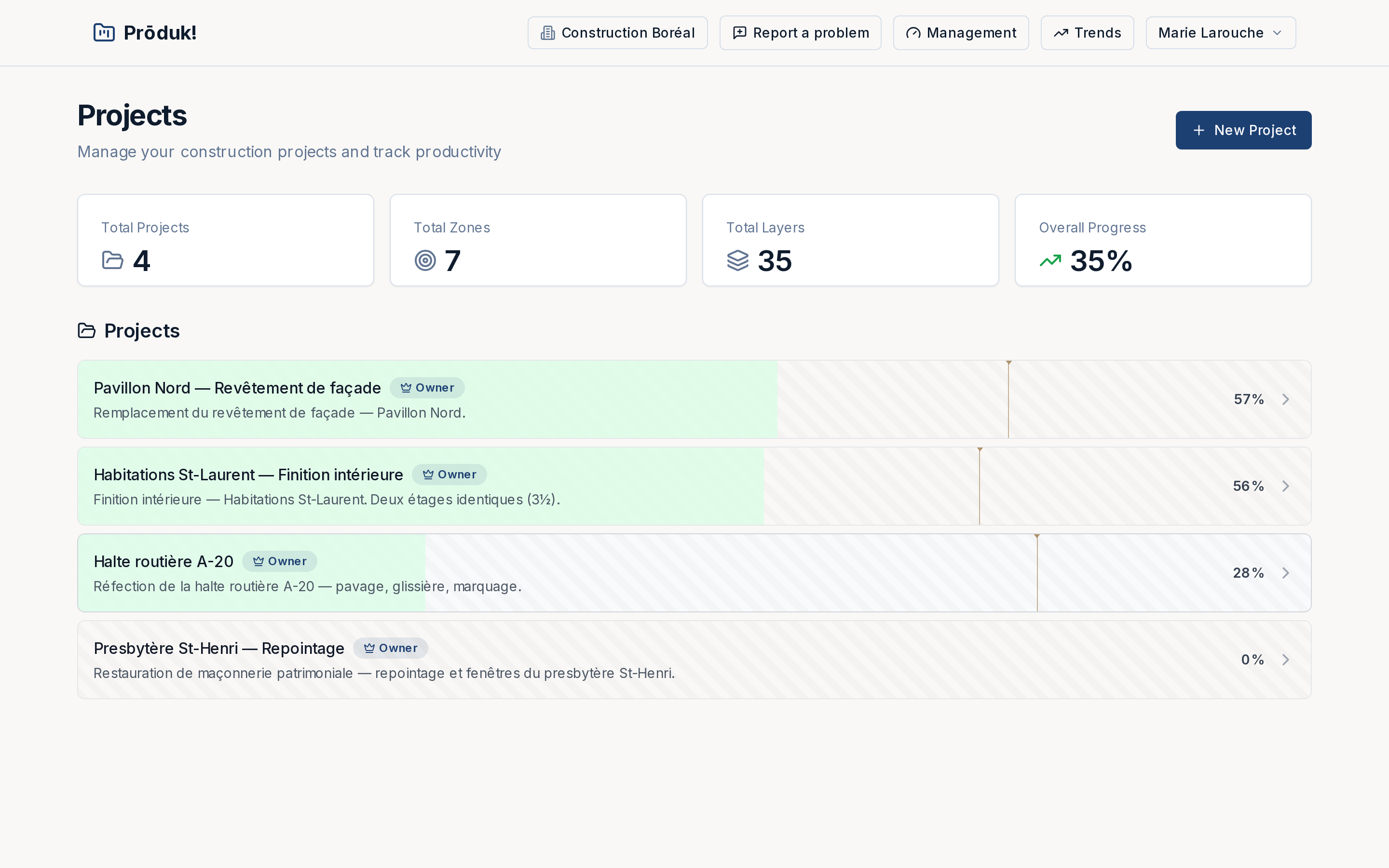 Dashboard: total projects, zones and layers, overall progress, and a list of projects with their percent complete